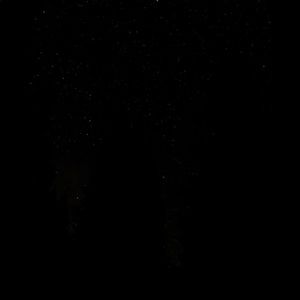 Meet your Posher, Mia